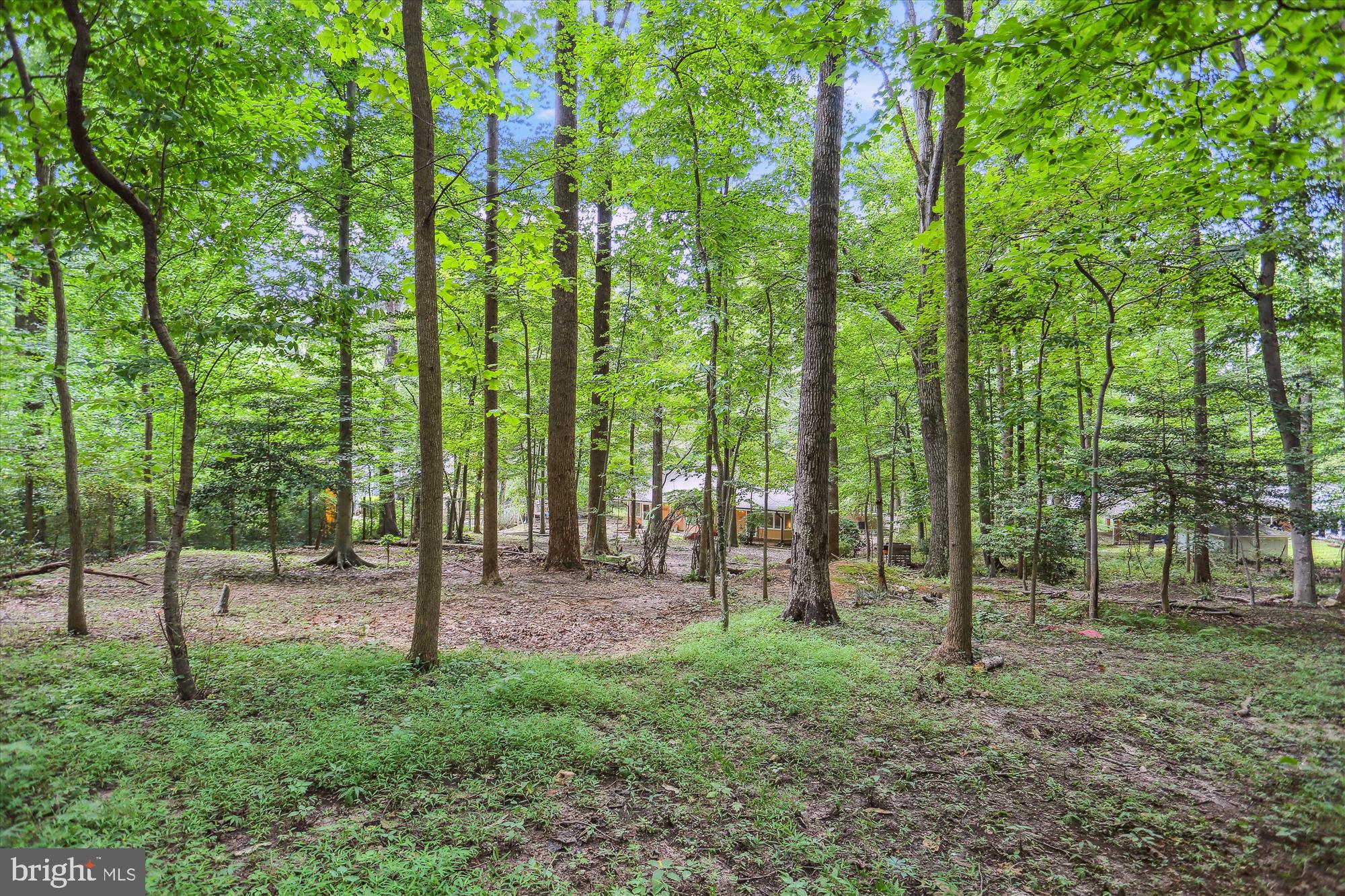 12211 BROOKHAVEN DRIVE