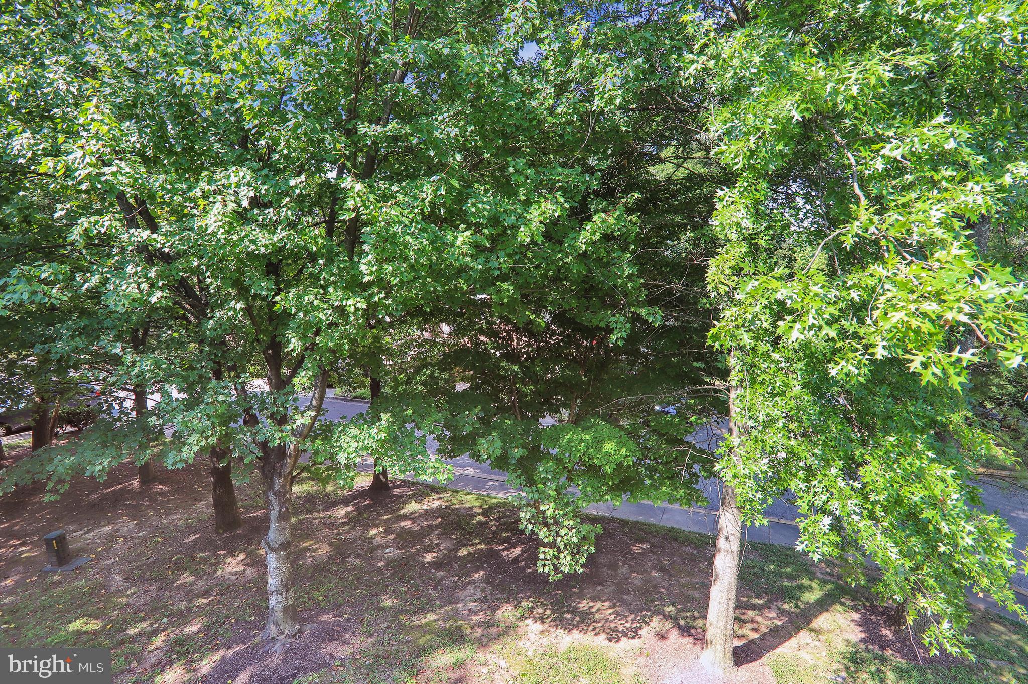 11247 Watermill Ln