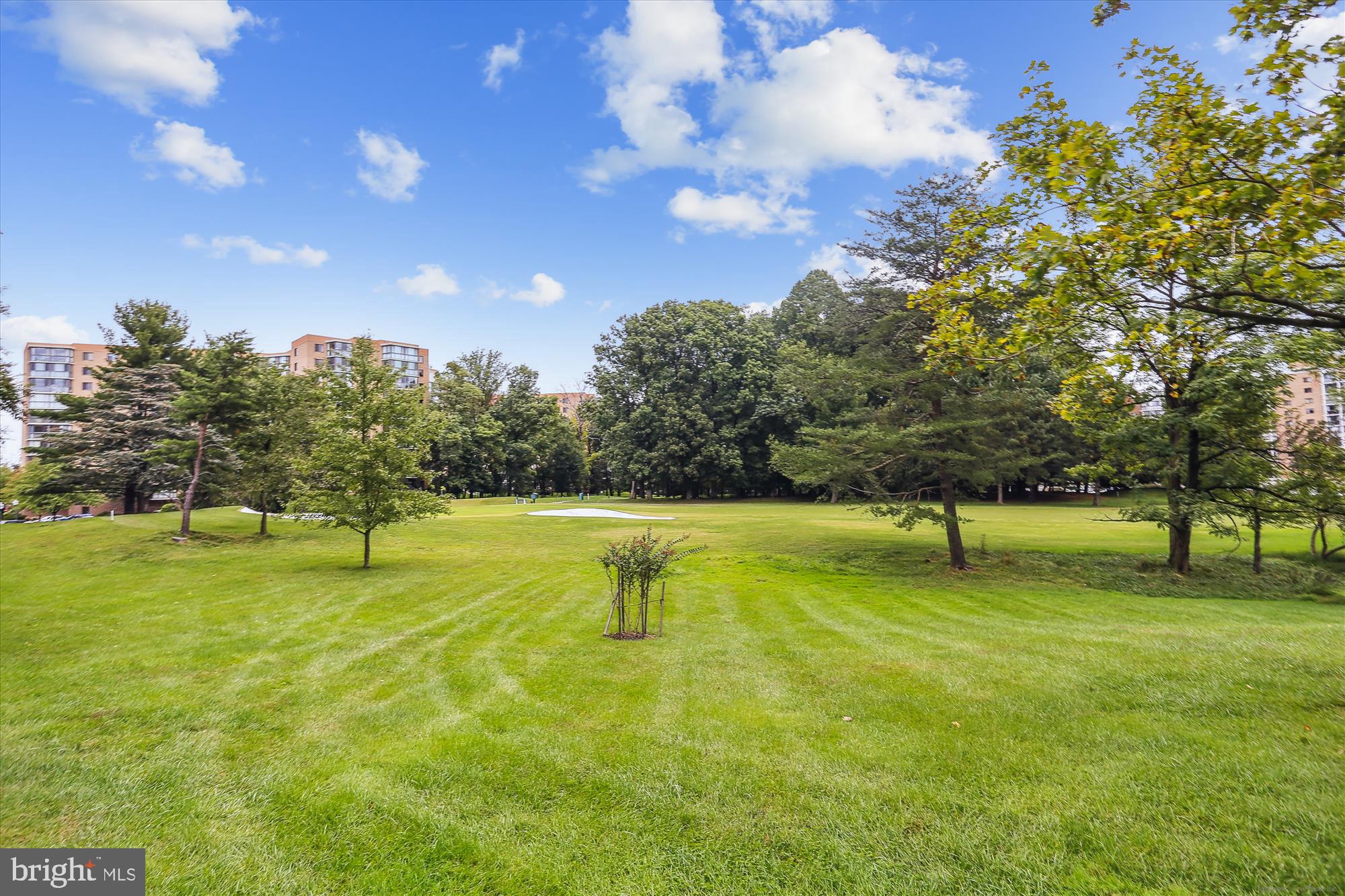 3330 N Leisure World Blvd #5-326