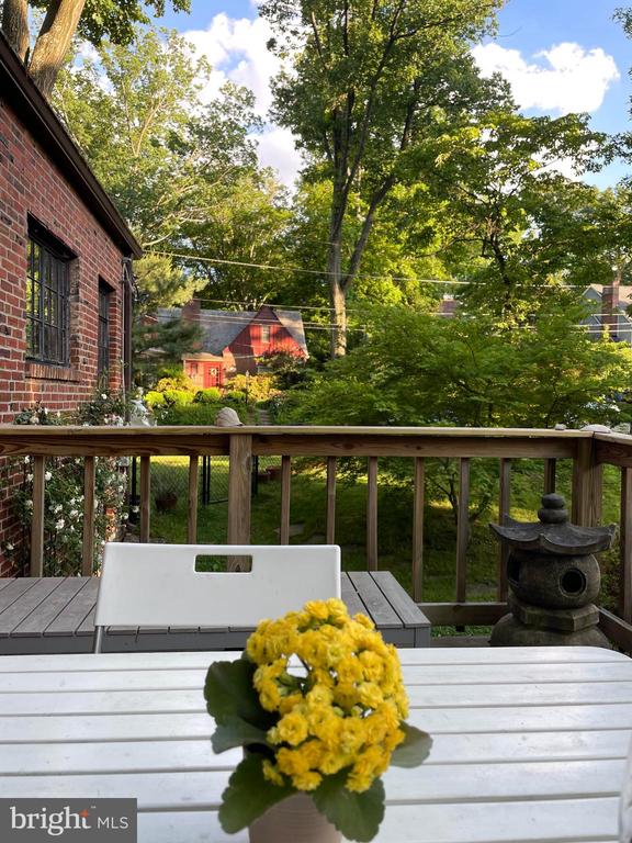 6 Midhurst Rd