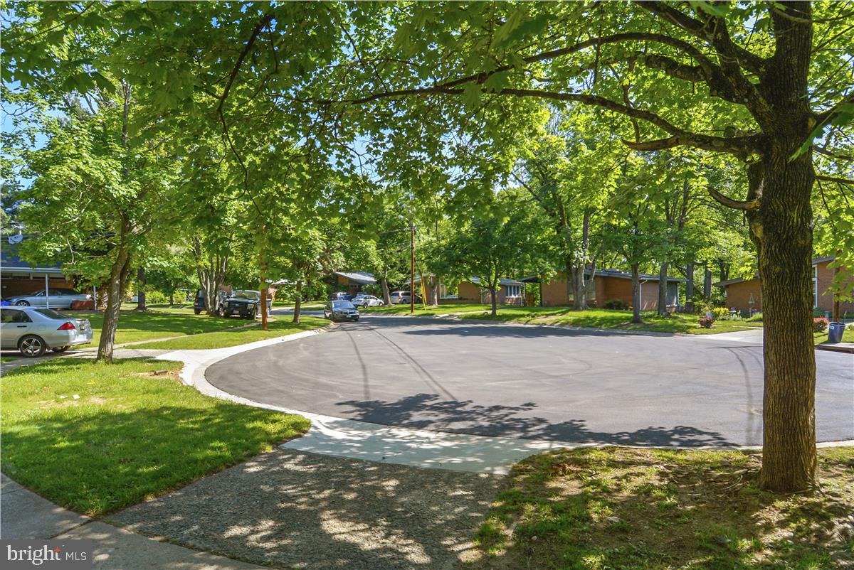 102 Bluff Ter