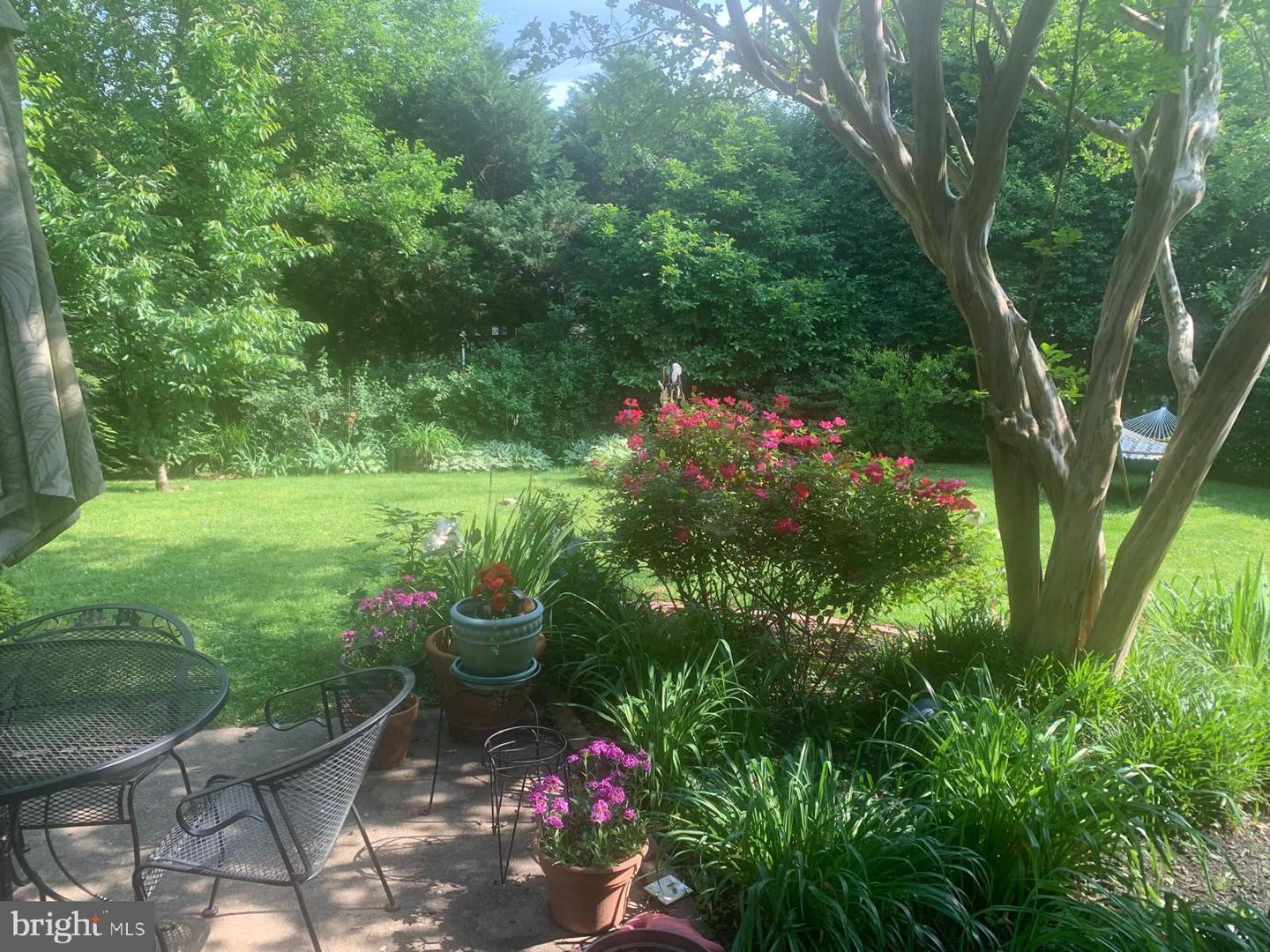 926 Clintwood Dr