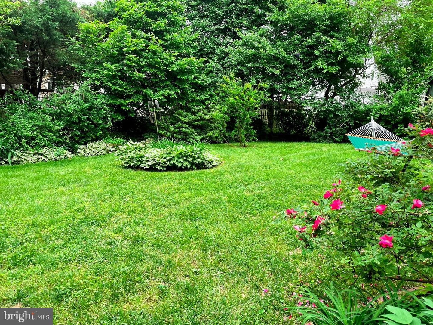 926 Clintwood Dr