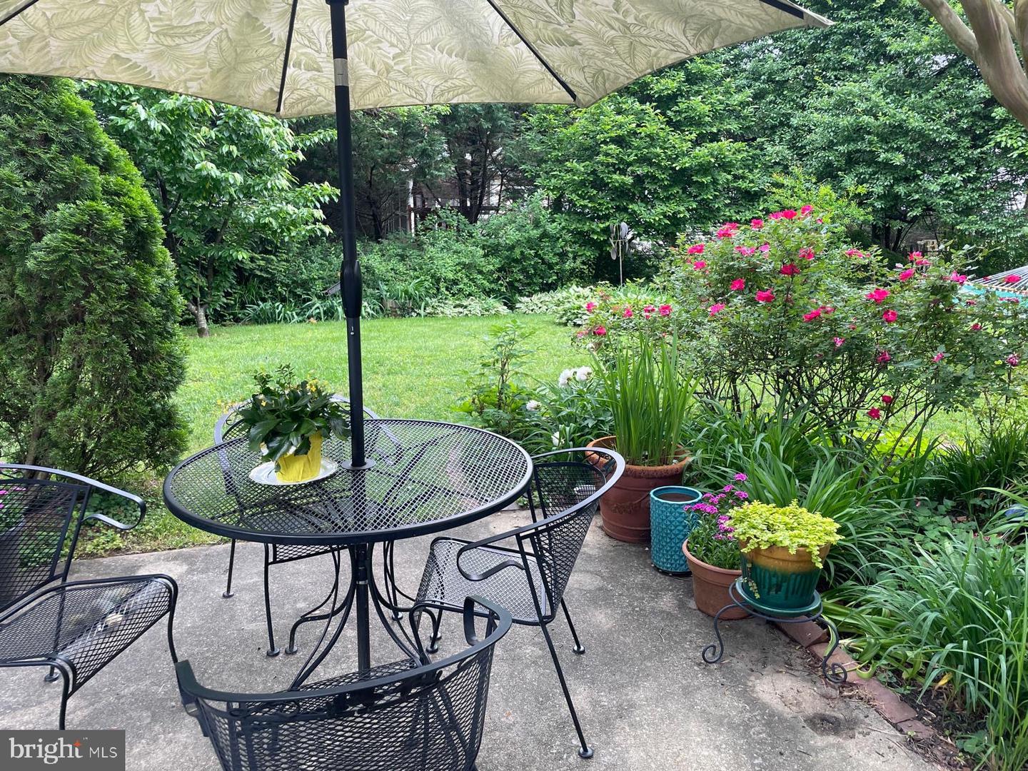 926 Clintwood Dr