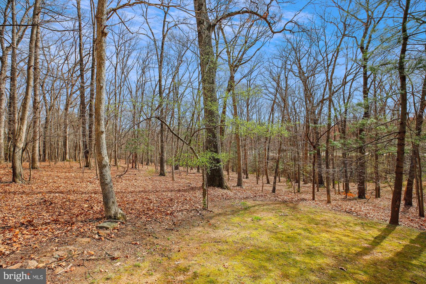 204 Hermleigh Rd