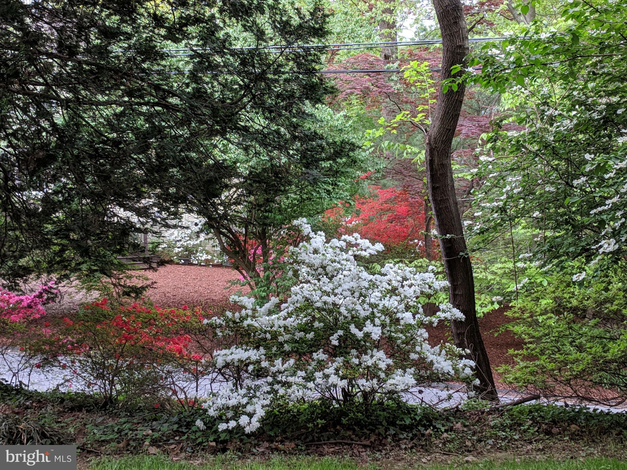 2907 FORSYTHE AVENUE