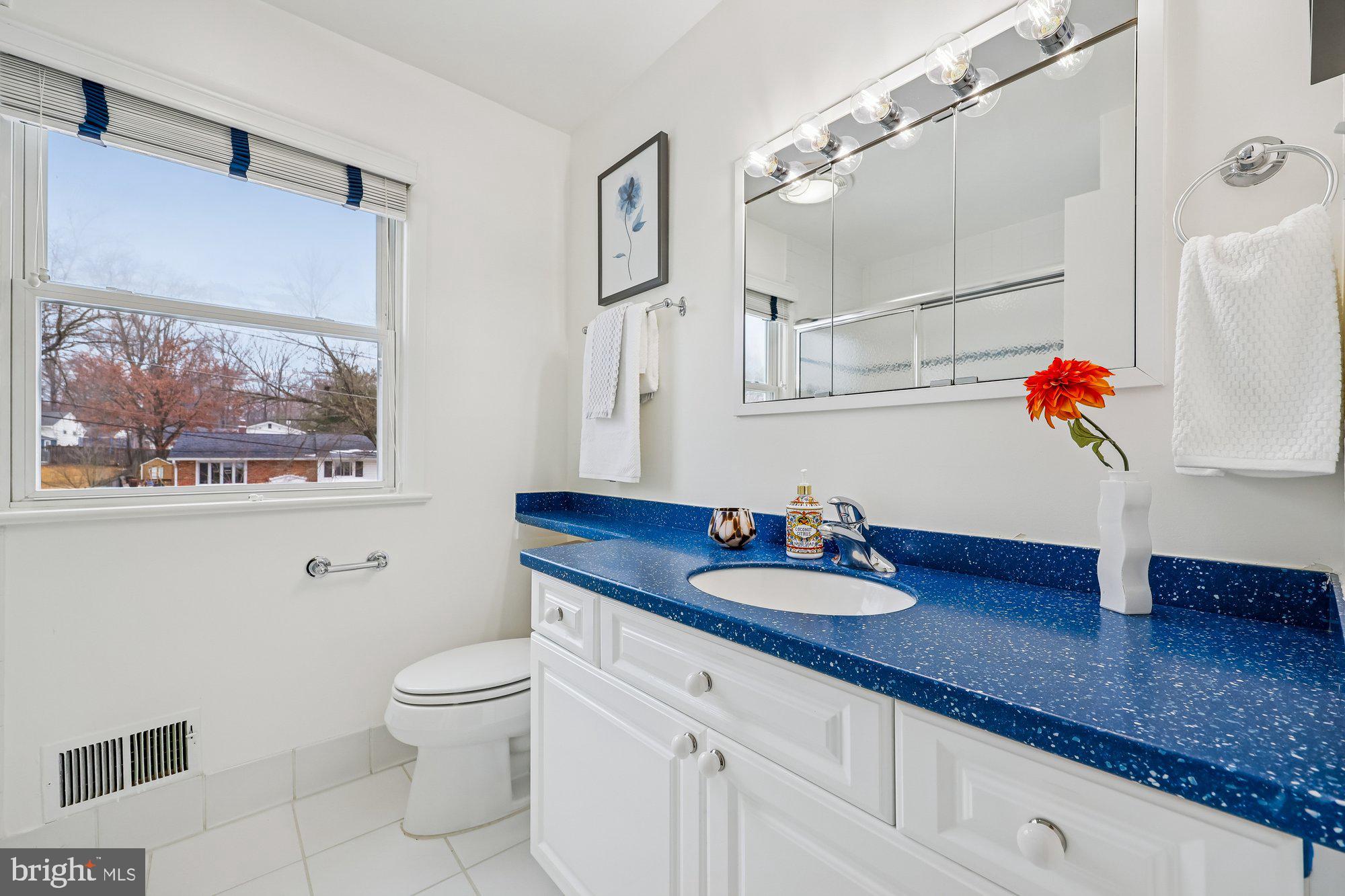 11715 STONINGTON PLACE