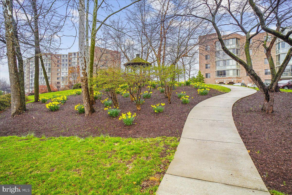 3005 S LEISURE WORLD BOULEVARD 515 S 515