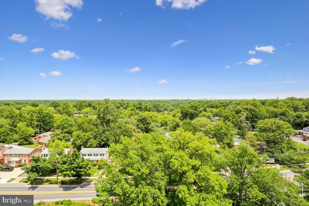 1111 W UNIVERSITY BOULEVARD W 1316-A
