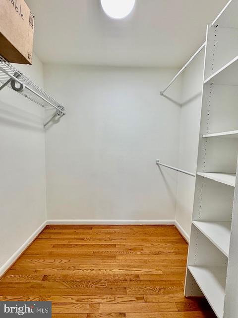 4409 ROMLON STREET 204