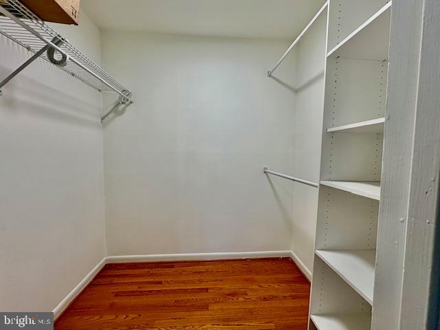 4409 ROMLON STREET 204