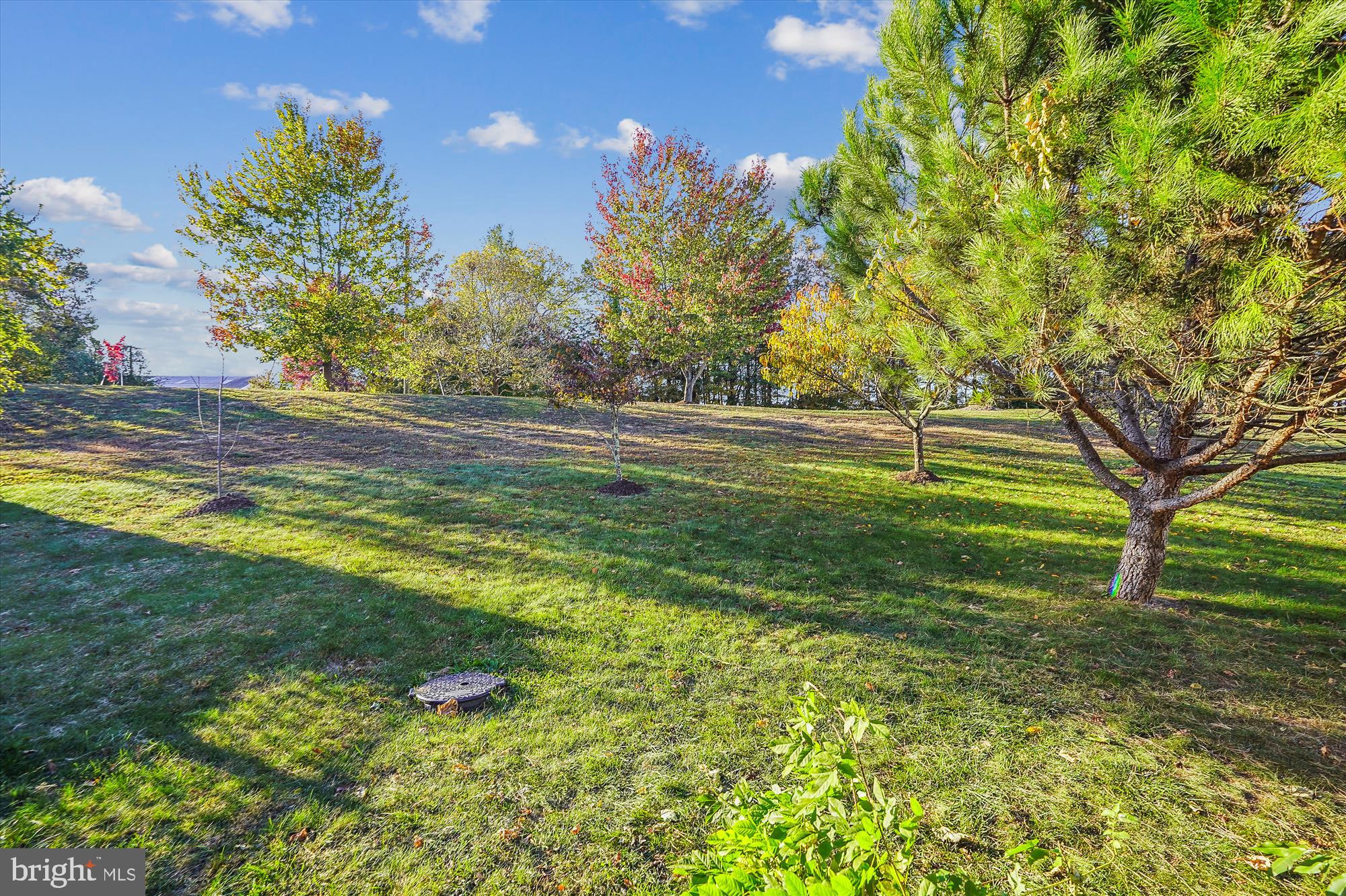 6682 Clarkes Meadow DRIVE