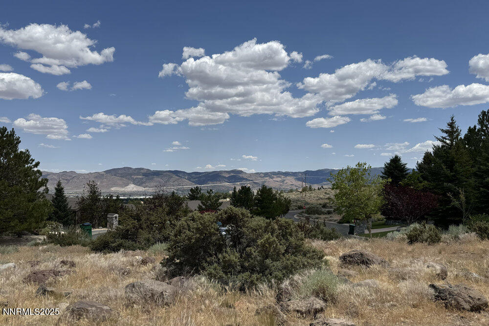 607 Rose Peak Court
