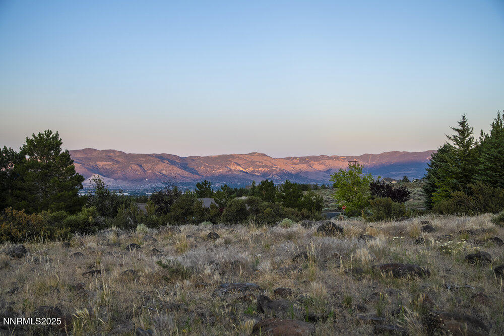 607 Rose Peak Court