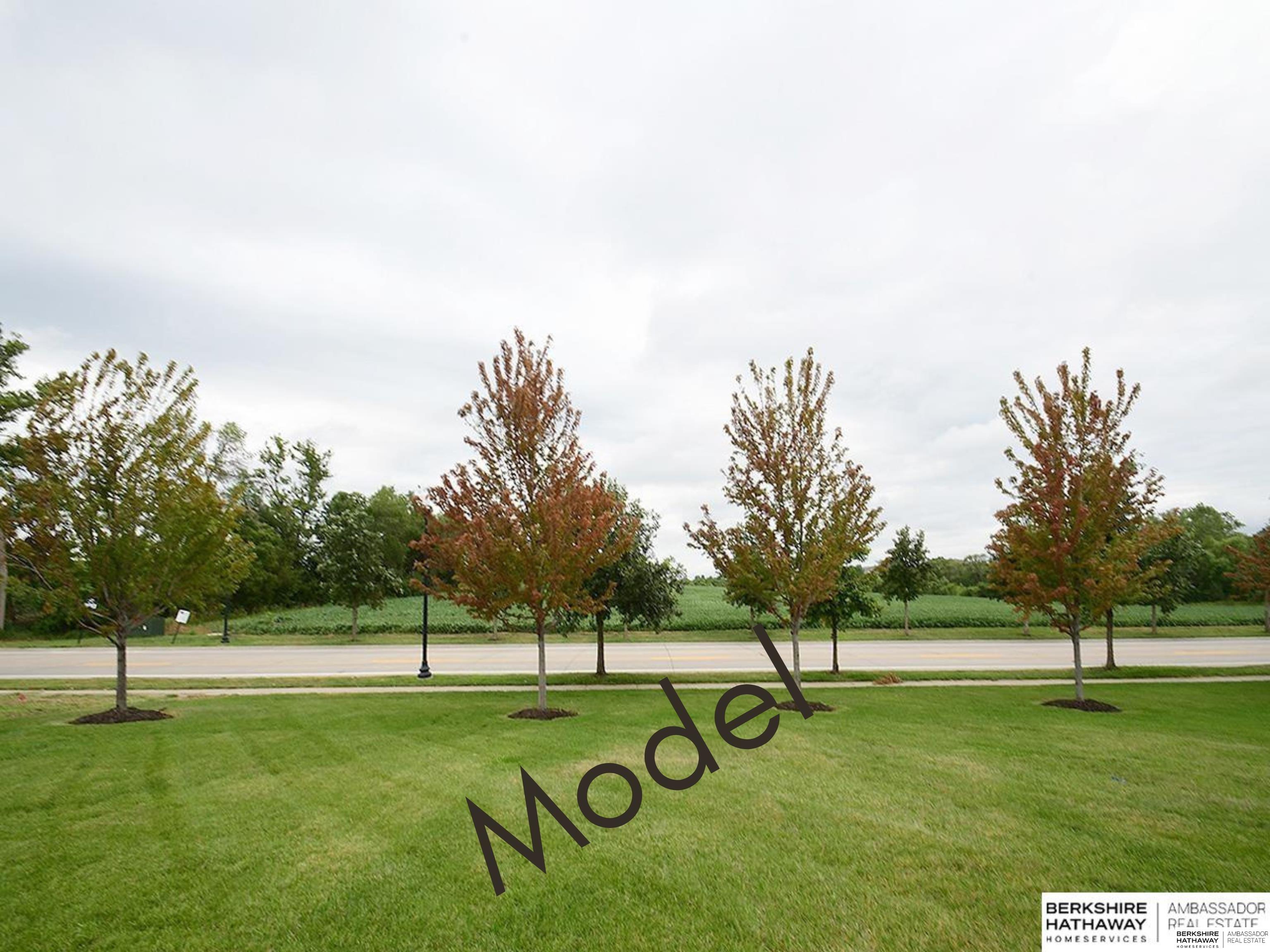 11707 Cove Hollow Drive