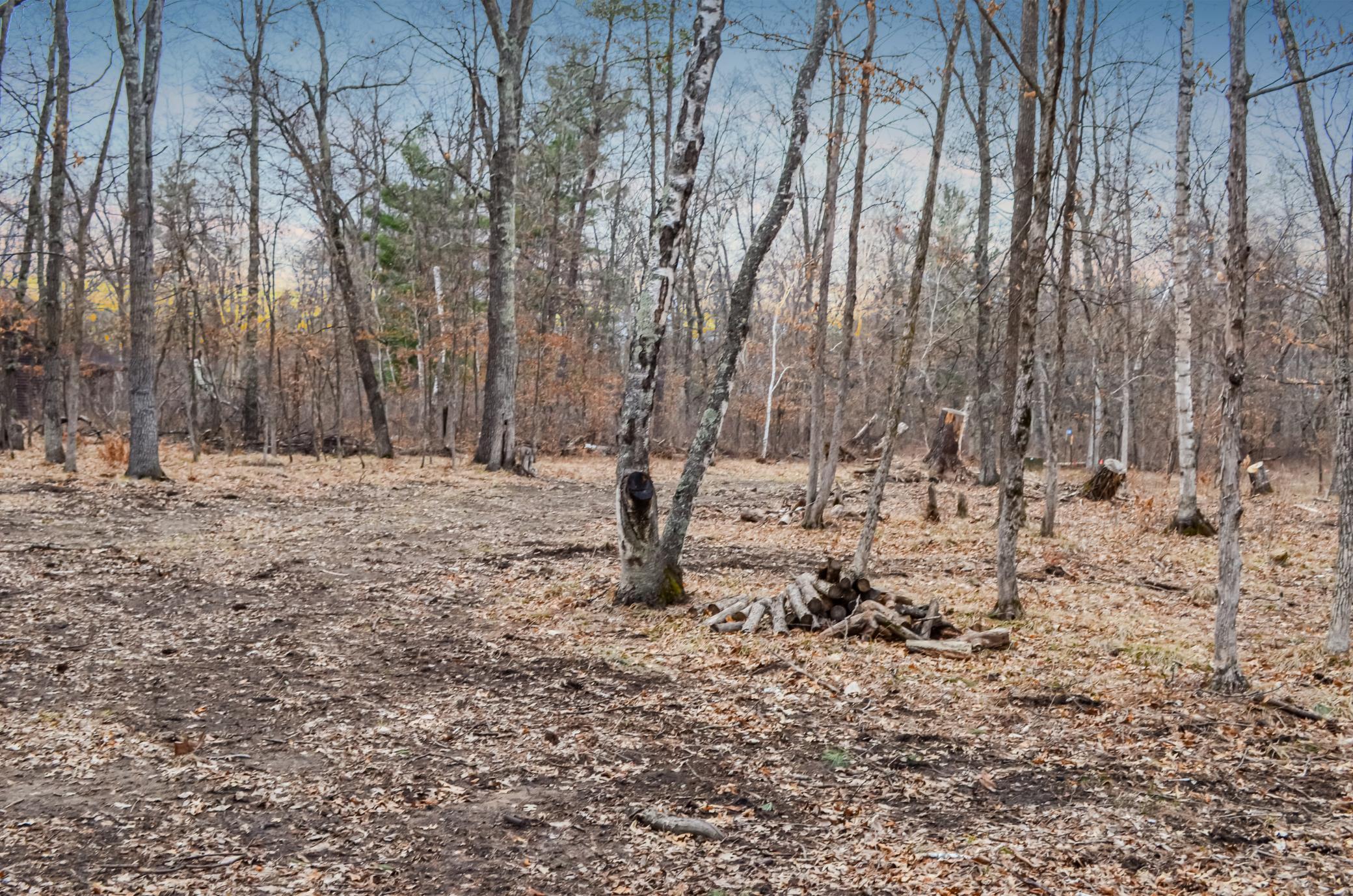 26753 Fawn Forest Road