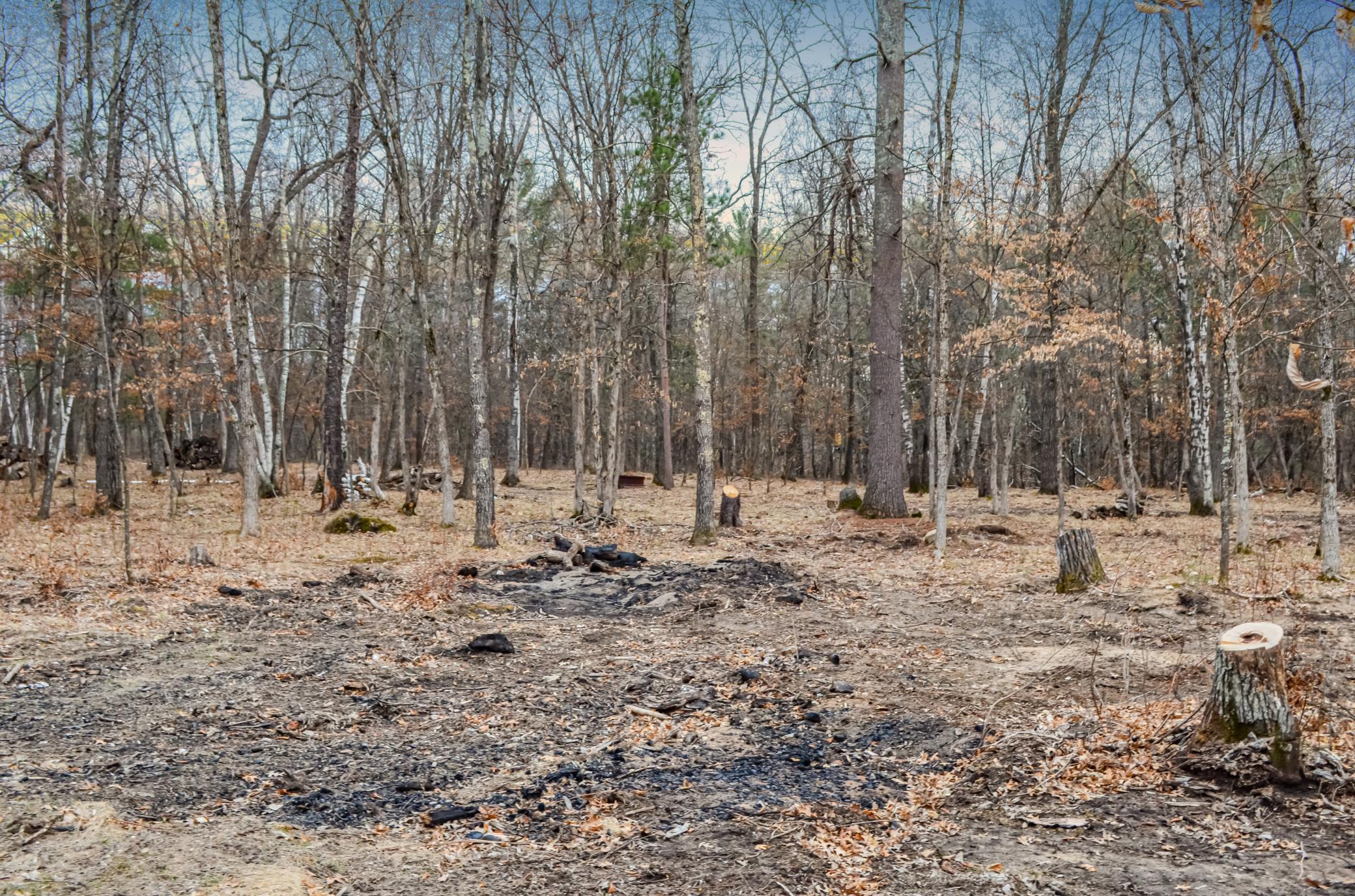 26753 Fawn Forest Road