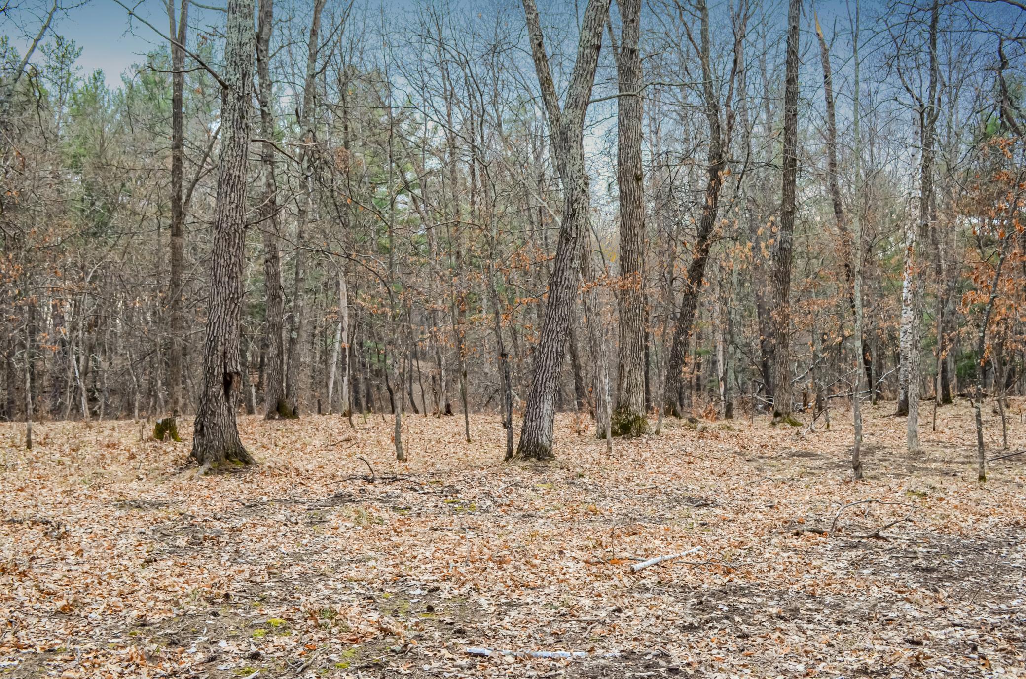 26753 Fawn Forest Road