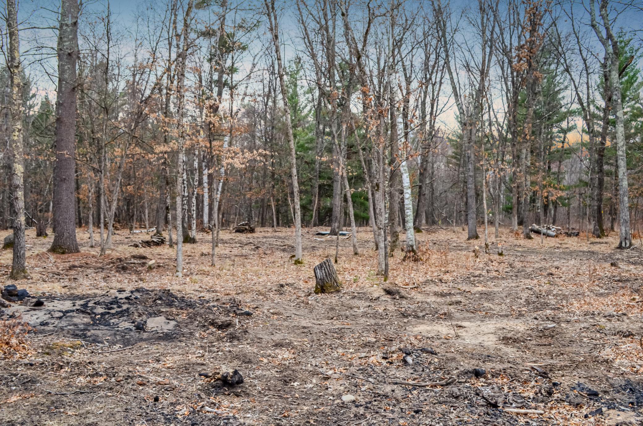 26753 Fawn Forest Road