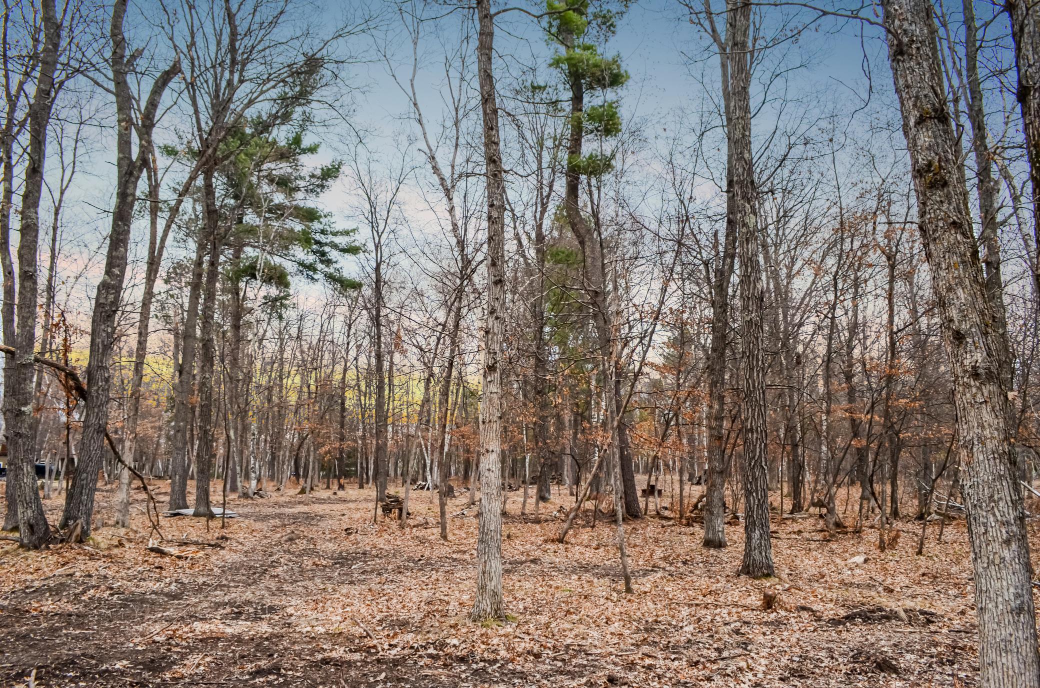 26753 Fawn Forest Road