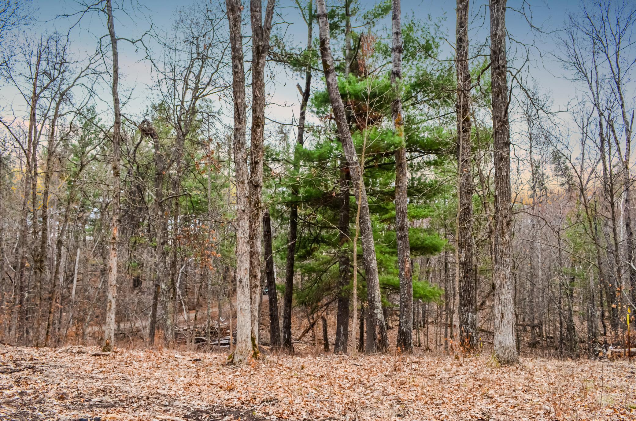 26753 Fawn Forest Road