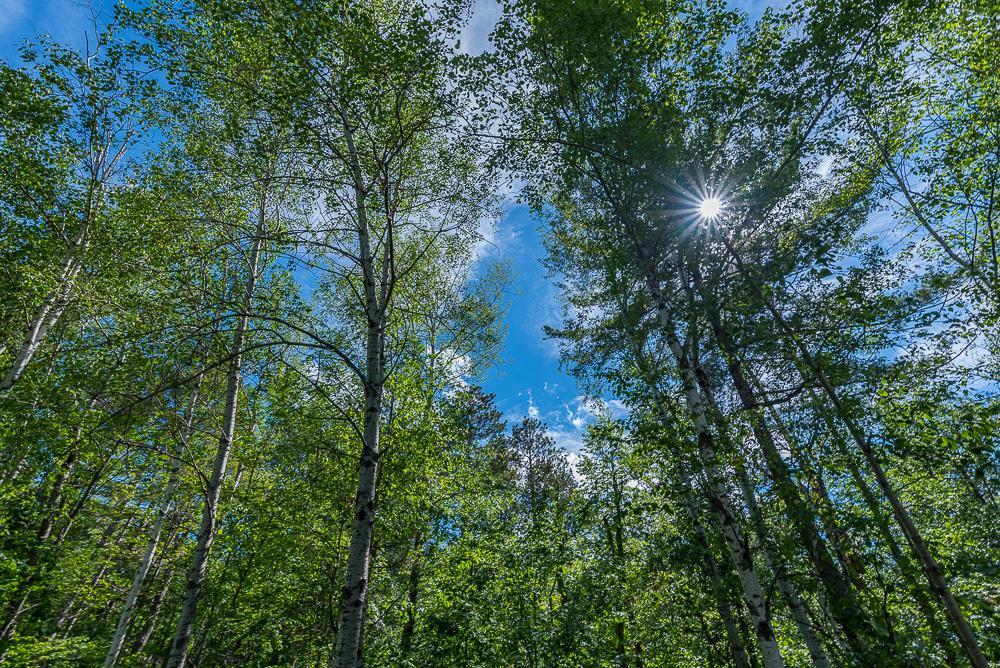 TBD Lower Cullen Road