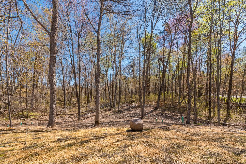 31410 Green Scene Drive