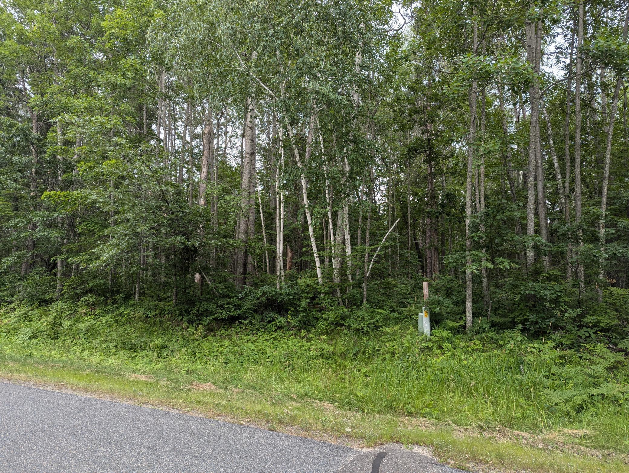 Lot 3 Blk 18 Winter Trail