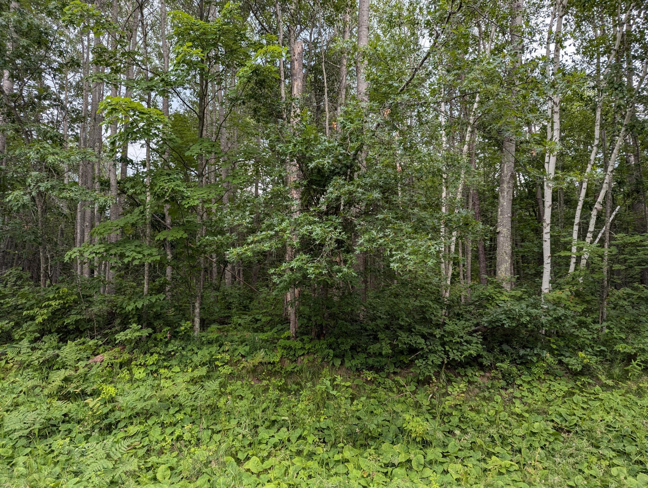 Lot 3 Blk 18 Winter Trail