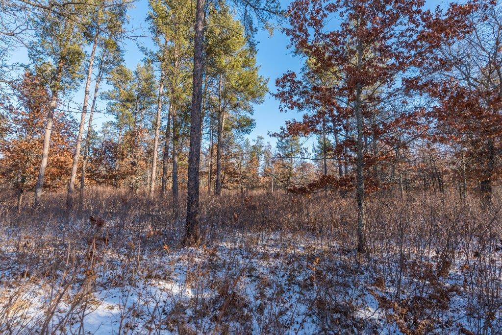 TBD Jasperwood Drive