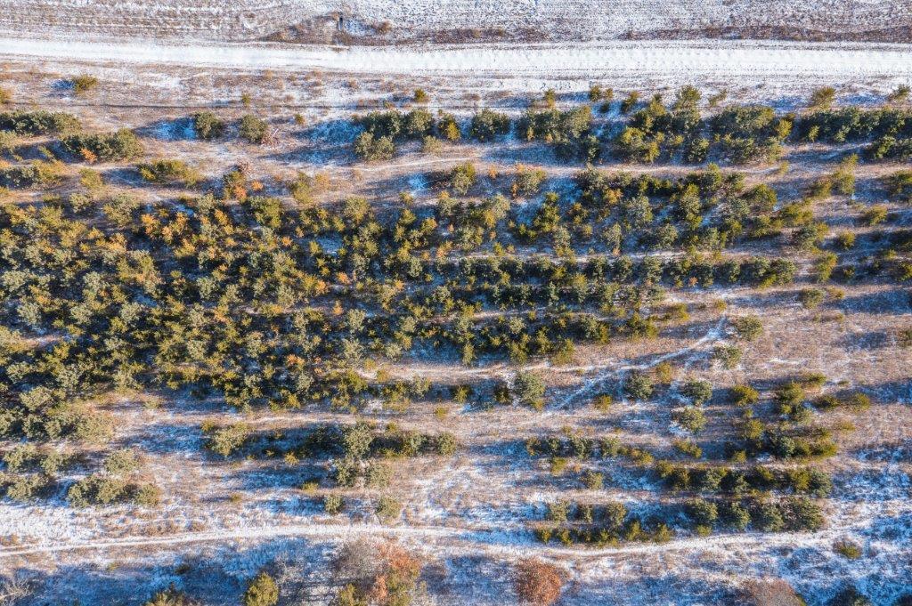 TBD Jasperwood Drive