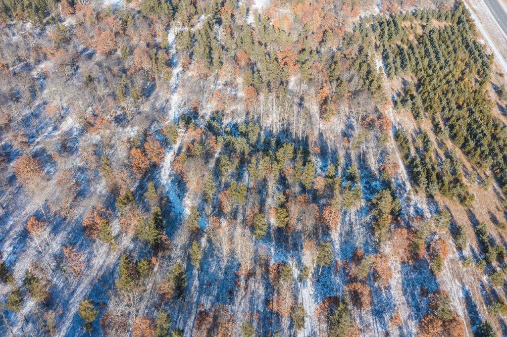 TBD Jasperwood Drive