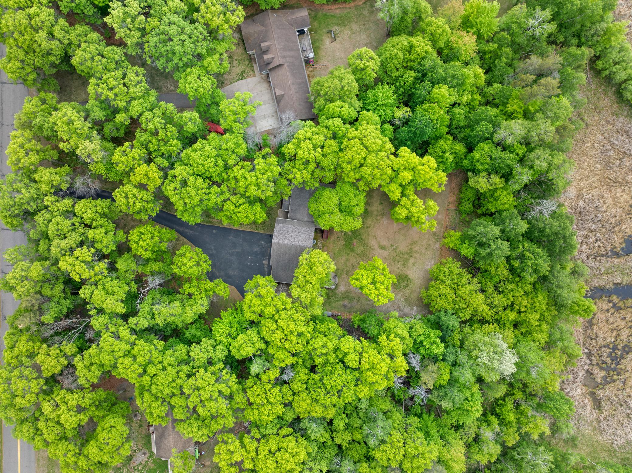 13915 Olivewood Drive