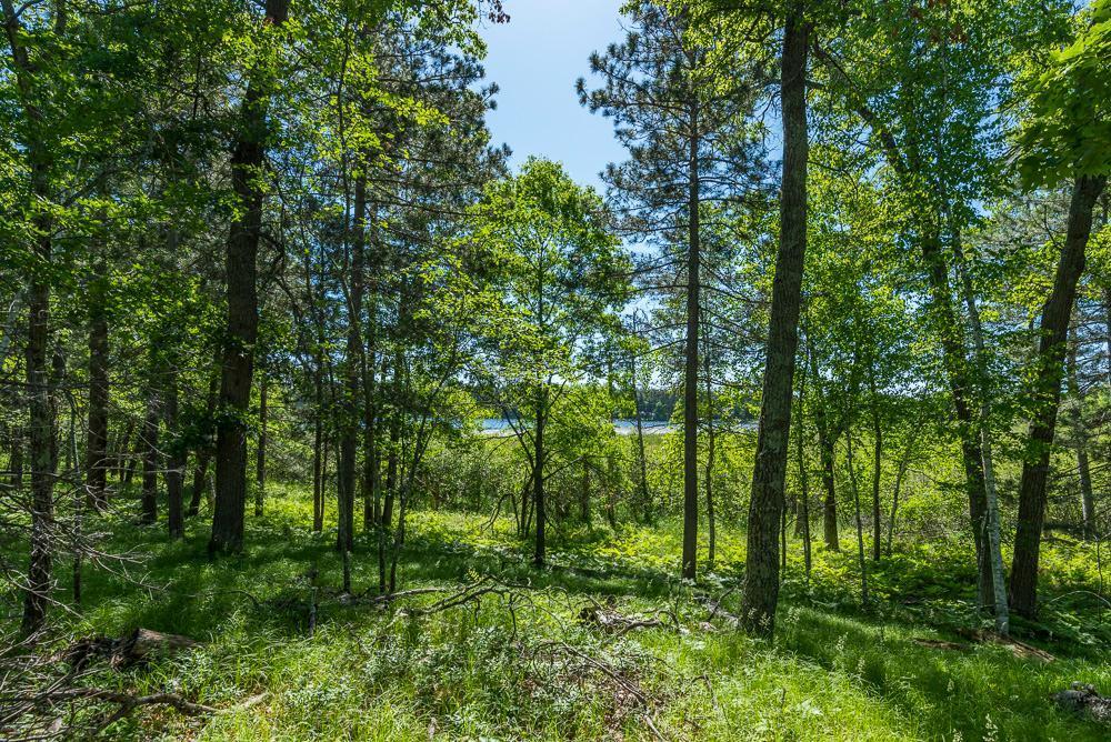 24456 Perrin Pt.