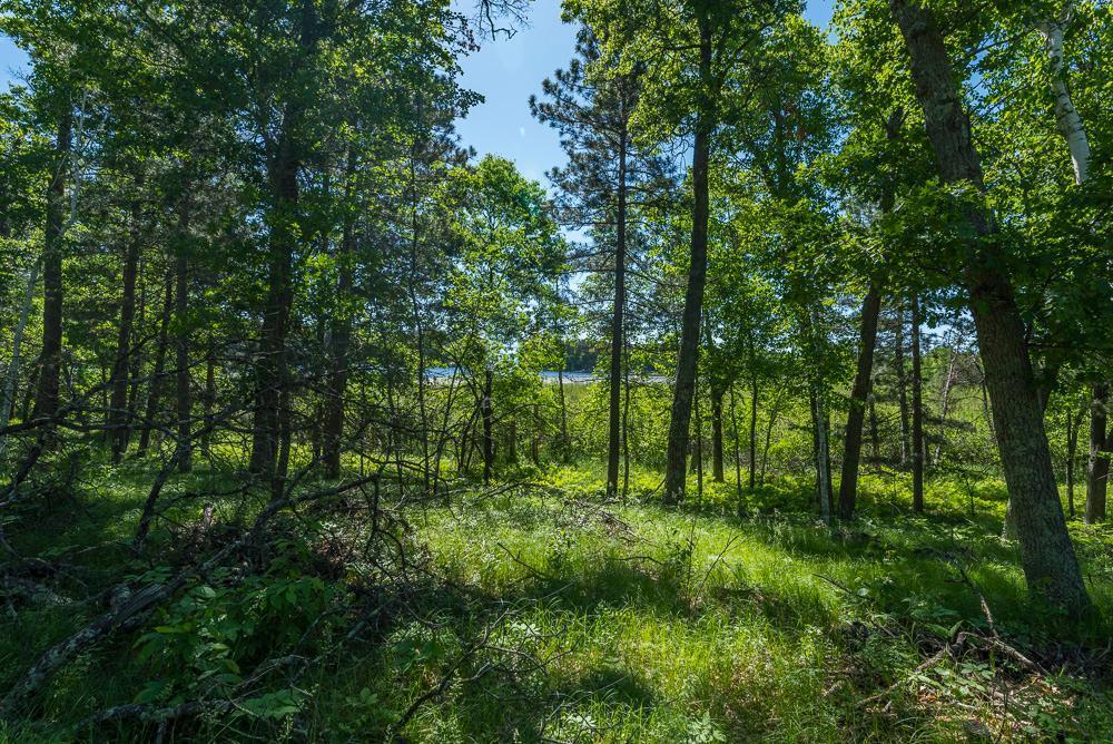 24456 Perrin Pt.