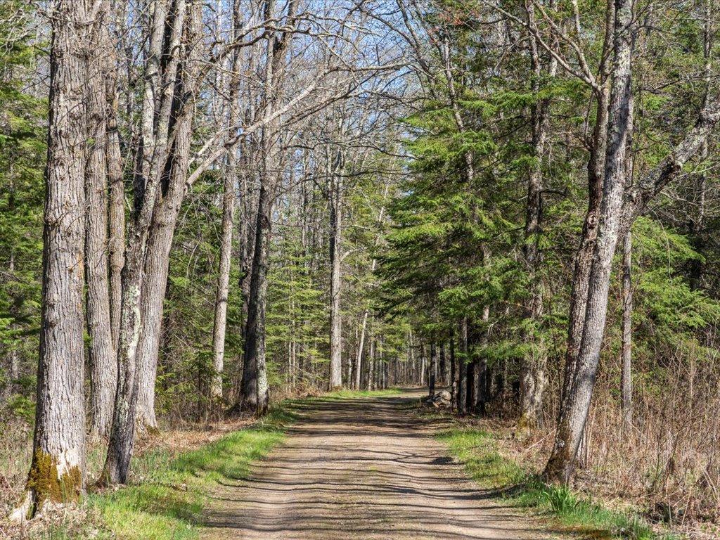 41863 Little Pine Road