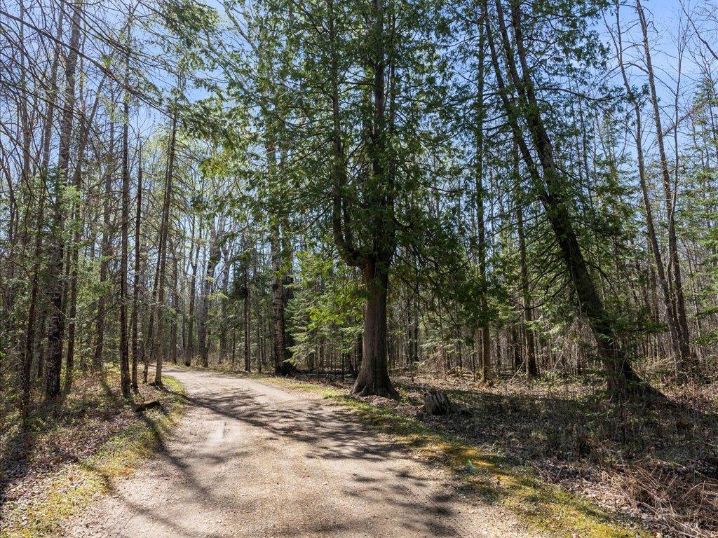 41863 Little Pine Road