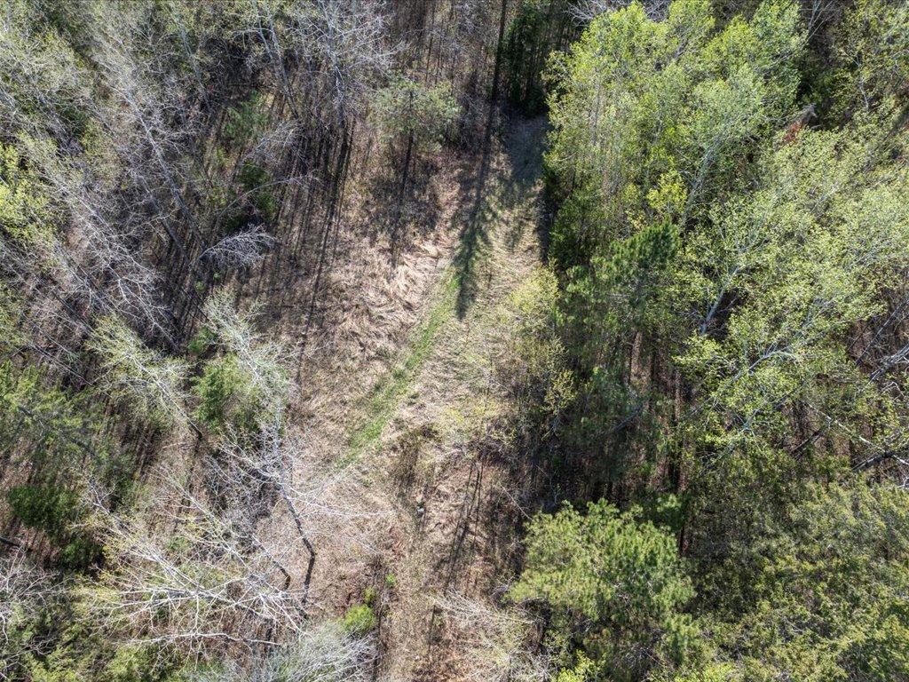 41863 Little Pine Road