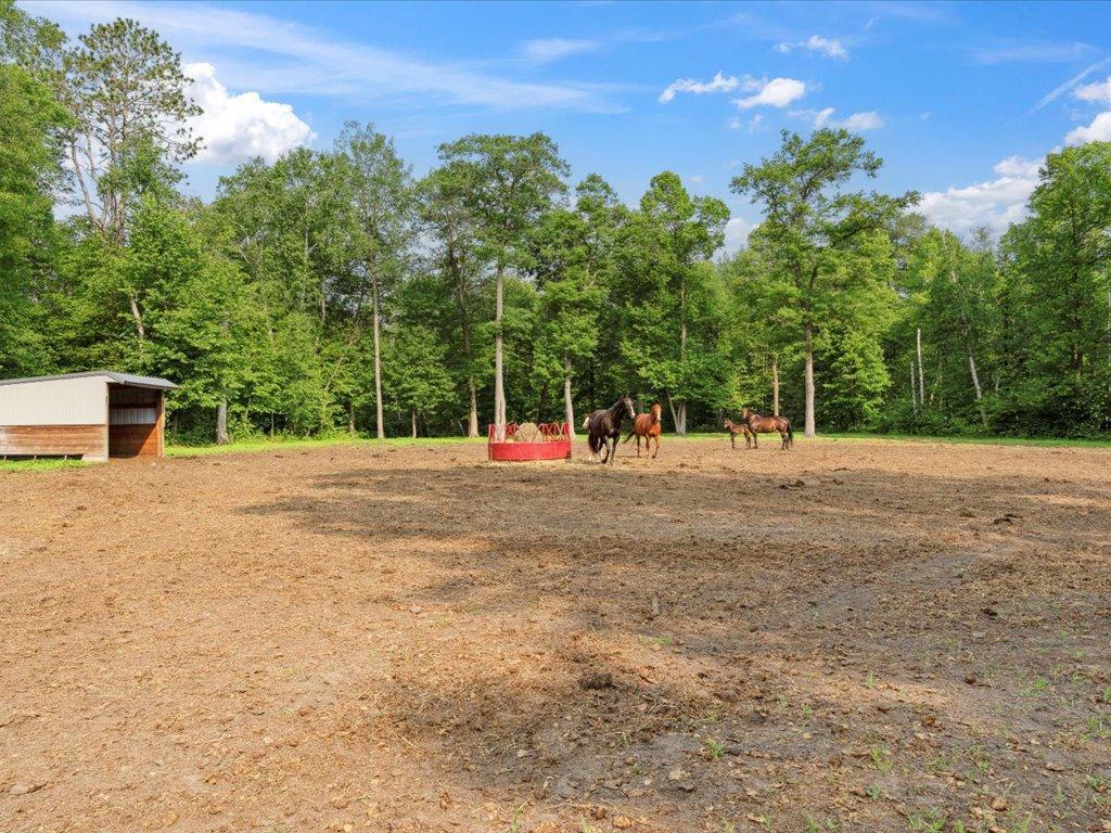 11489 Eagle View Trail