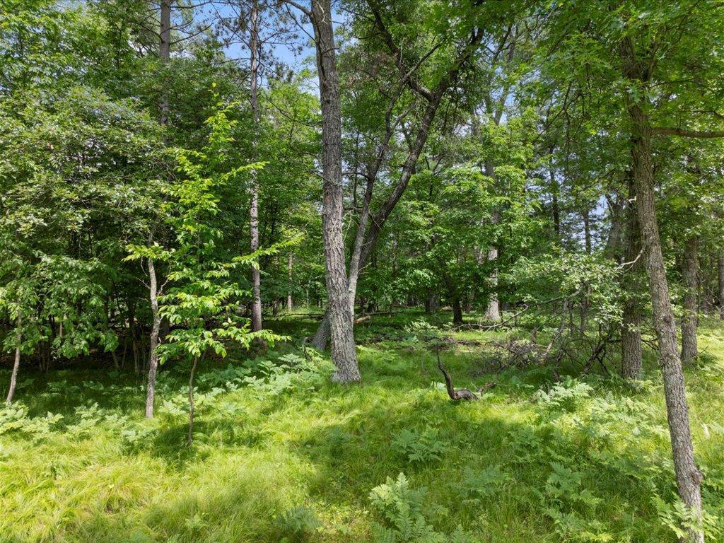 24601 Perrin Pt.