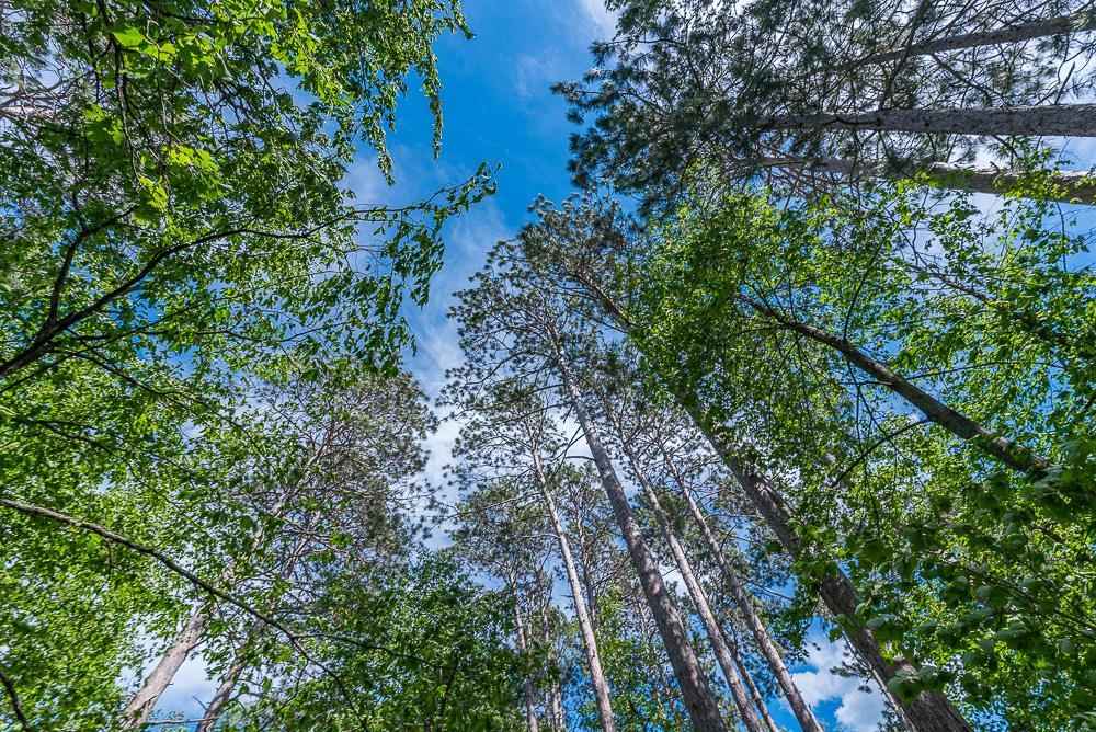 TBD Lower Cullen Road