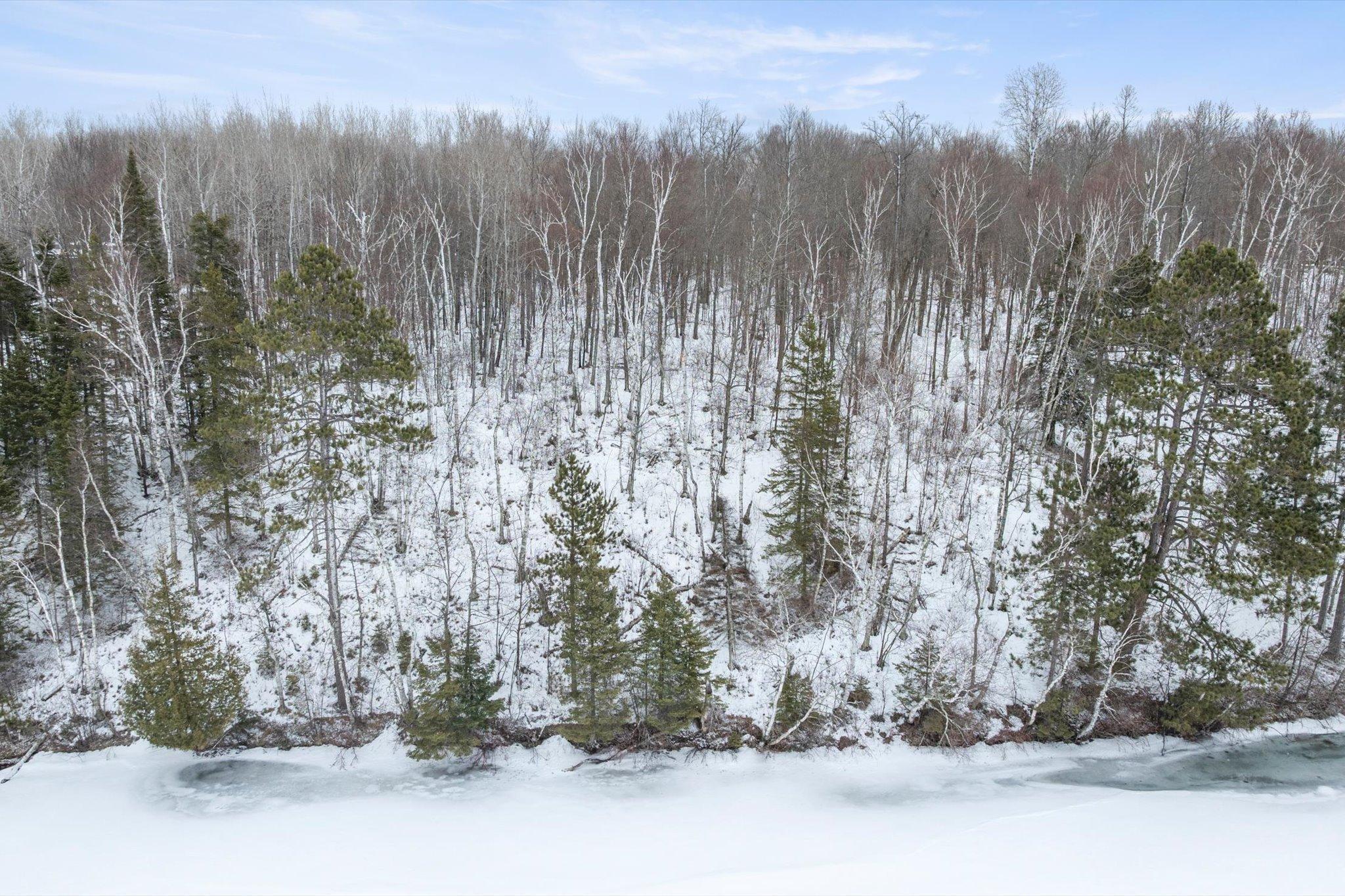 TBD N Wabana Forest Road