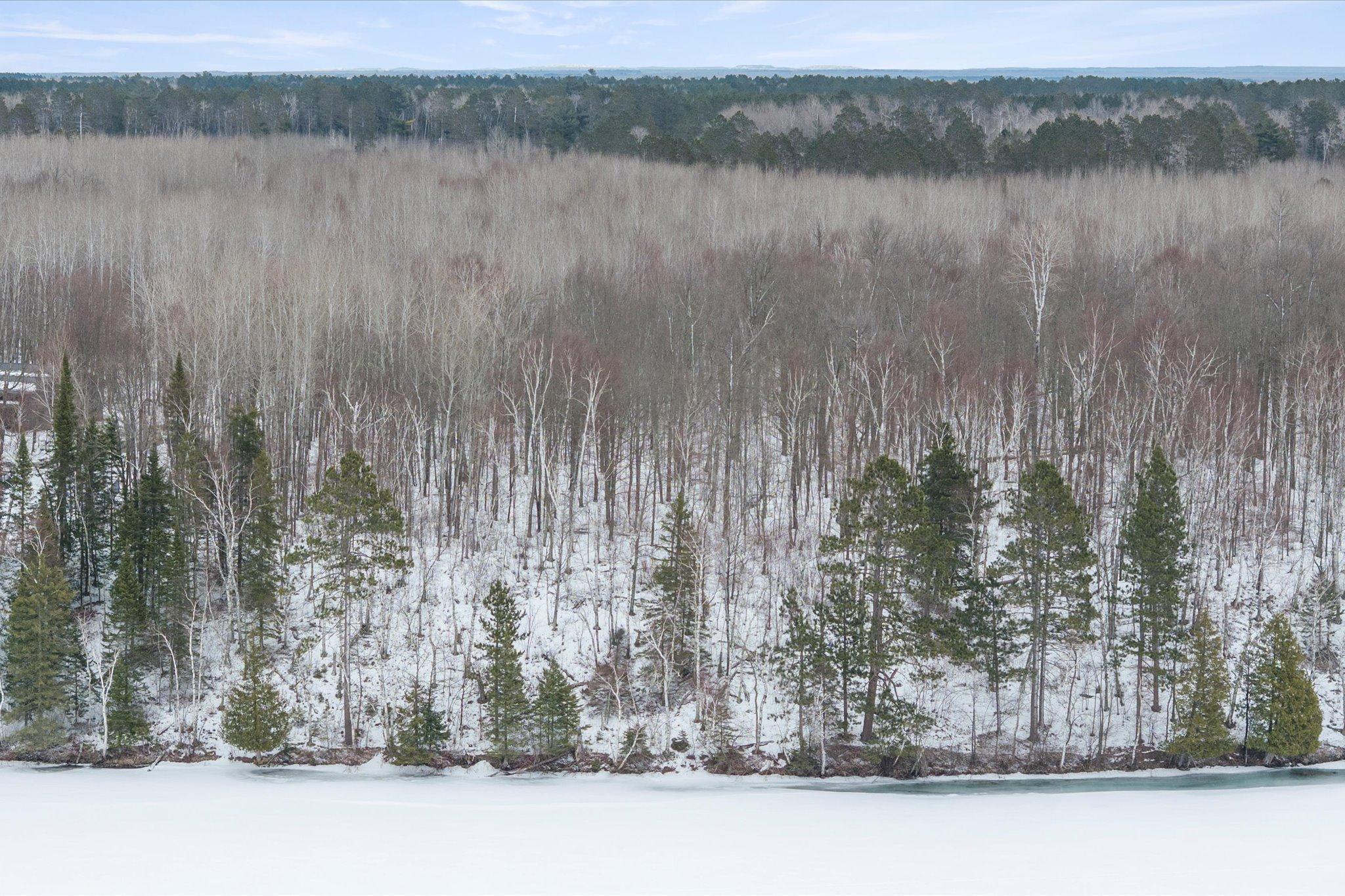 TBD N Wabana Forest Road