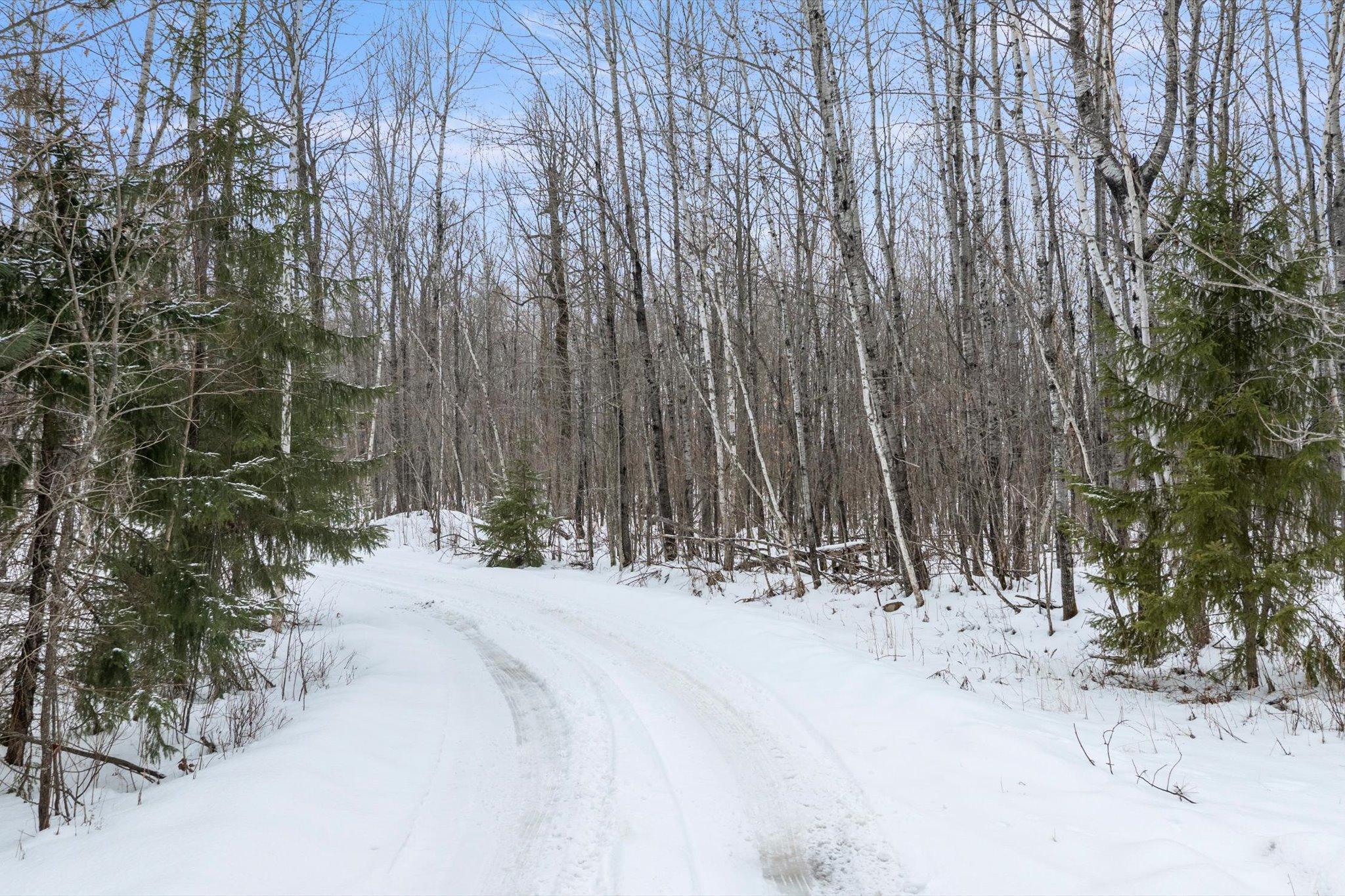 TBD N Wabana Forest Road