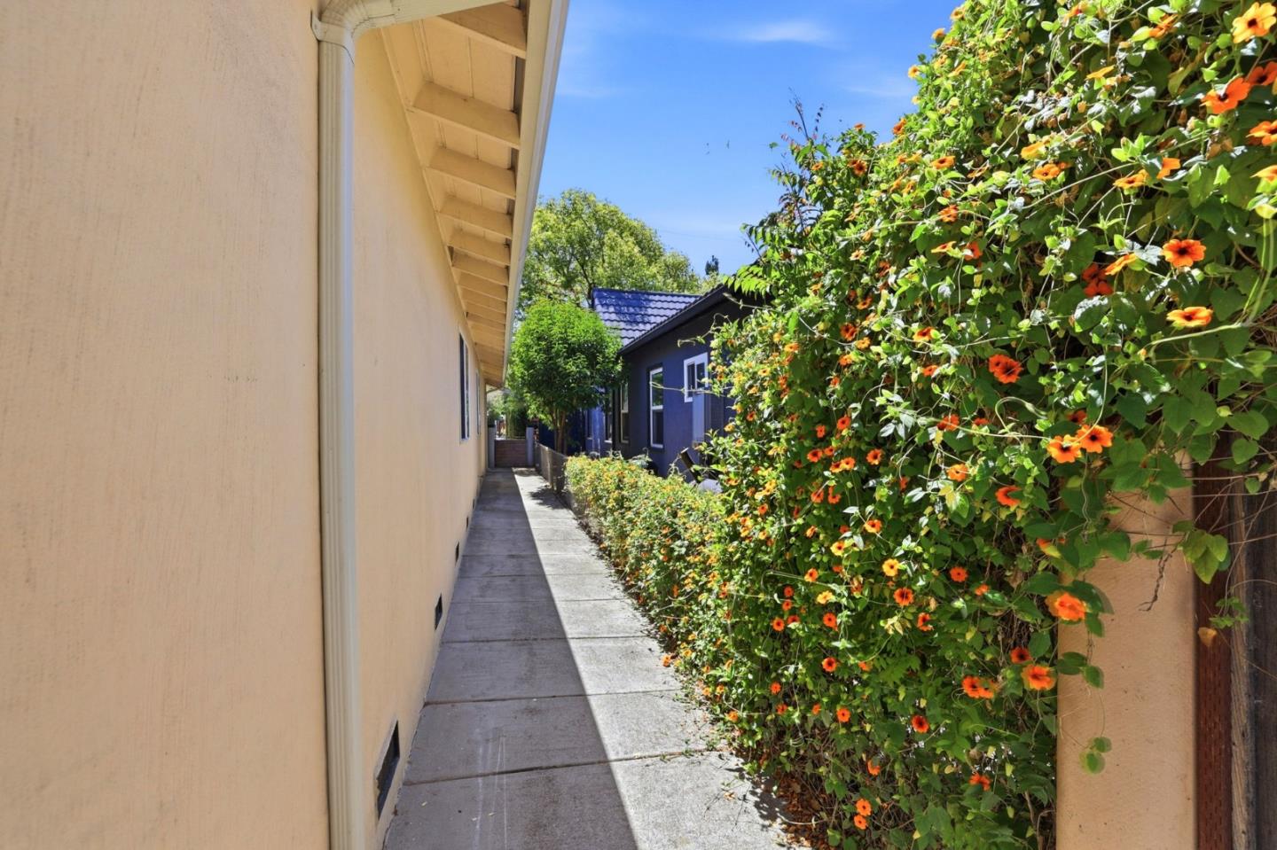 24 Scharff Avenue