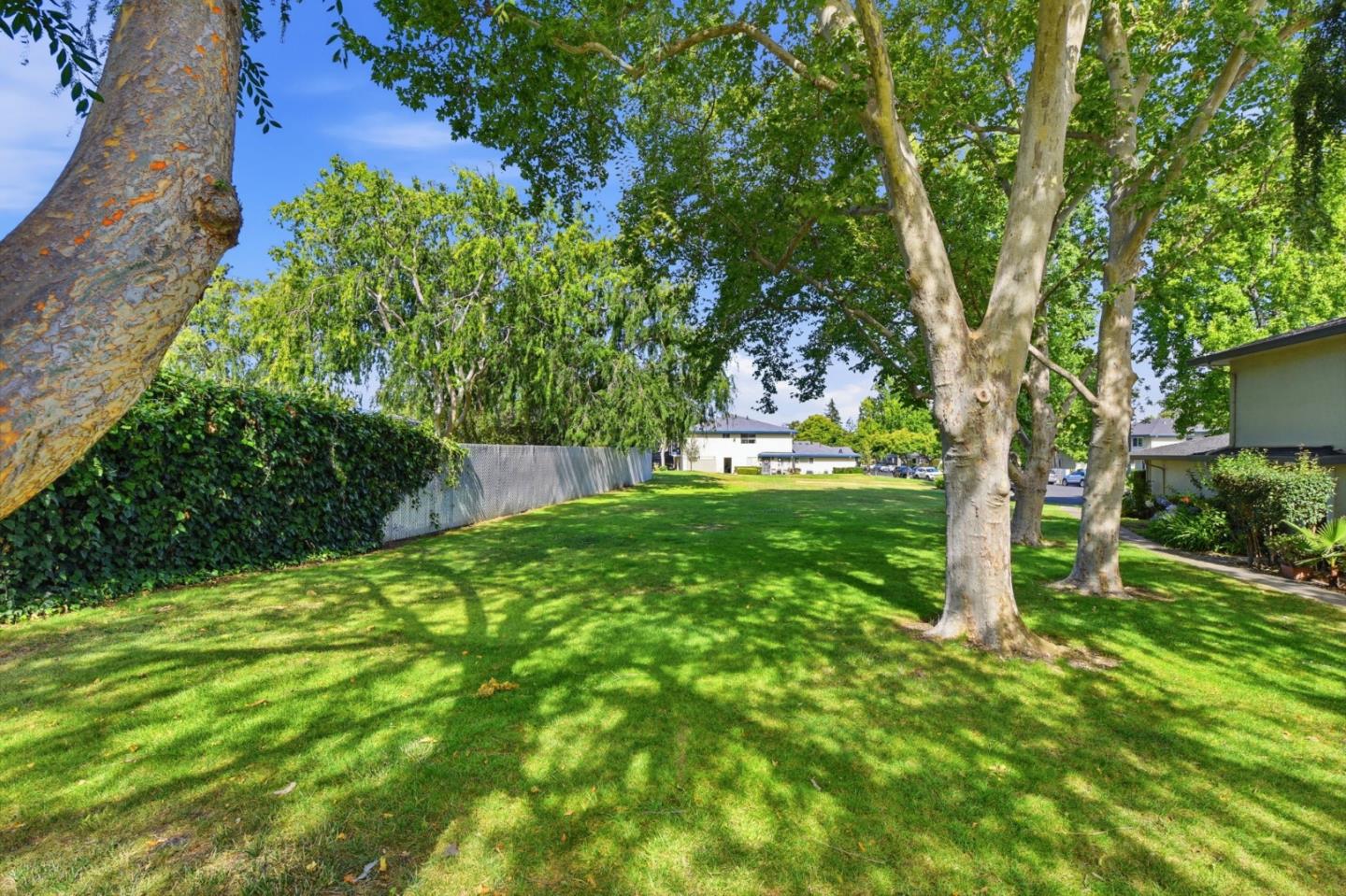 207 Watson Drive 3
