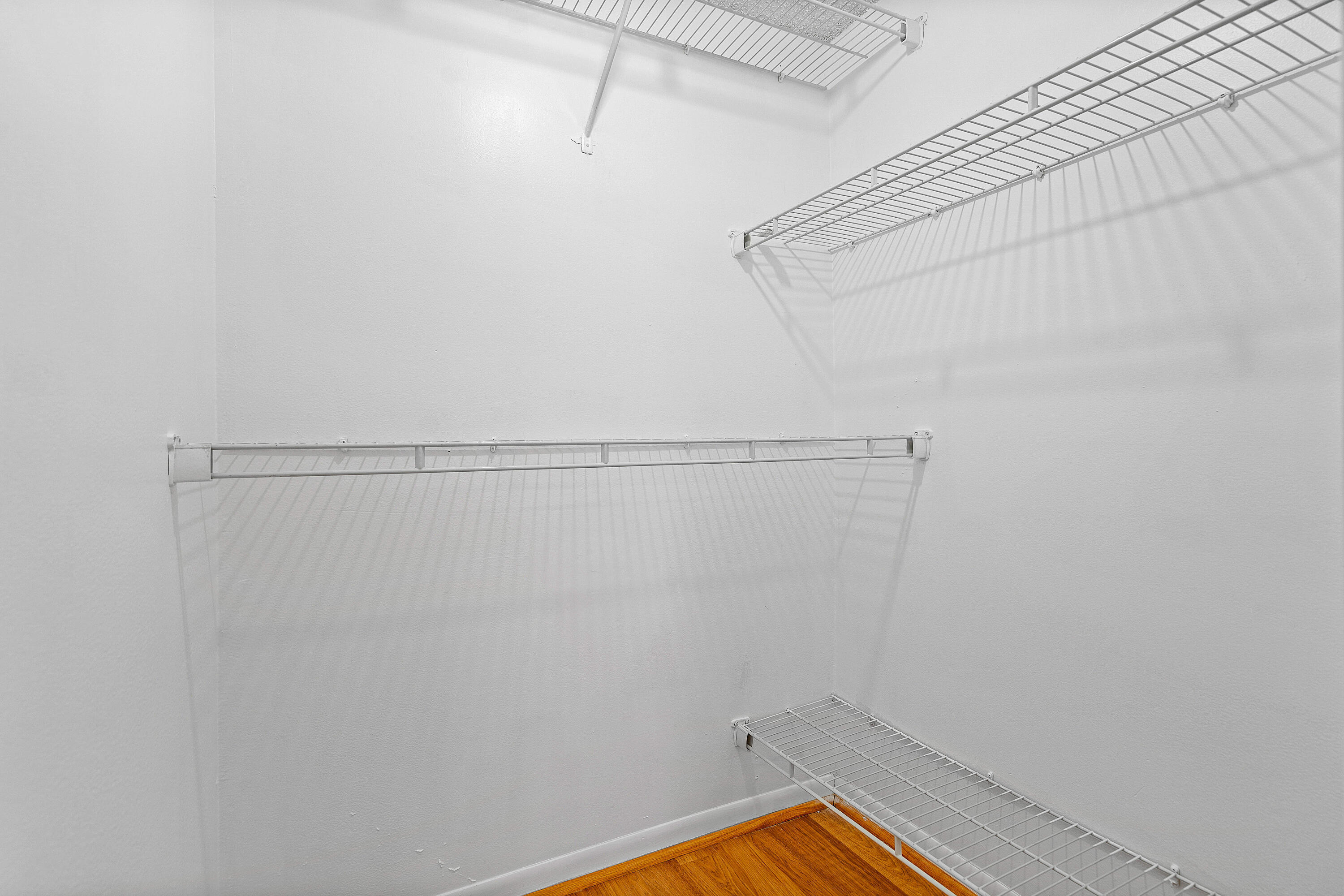 1021 Flame Vine Avenue 104