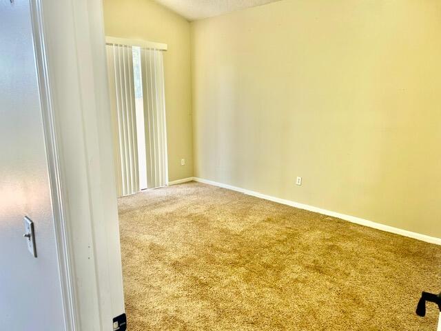13507 Carrick Green Court