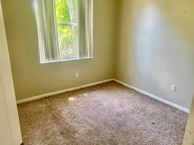13507 Carrick Green Court