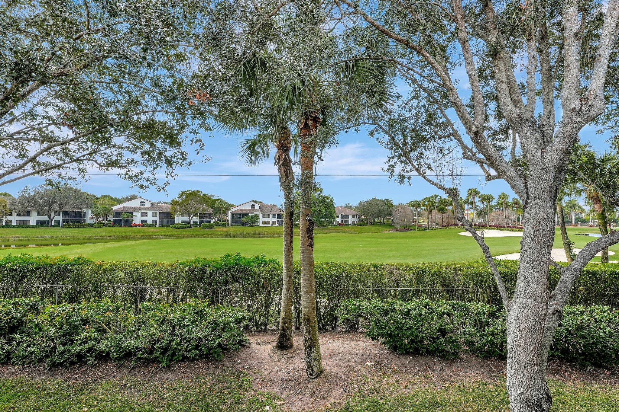 15085 Michelangelo Boulevard 208